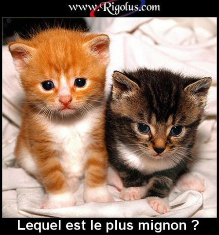 Il sont pas choux ?